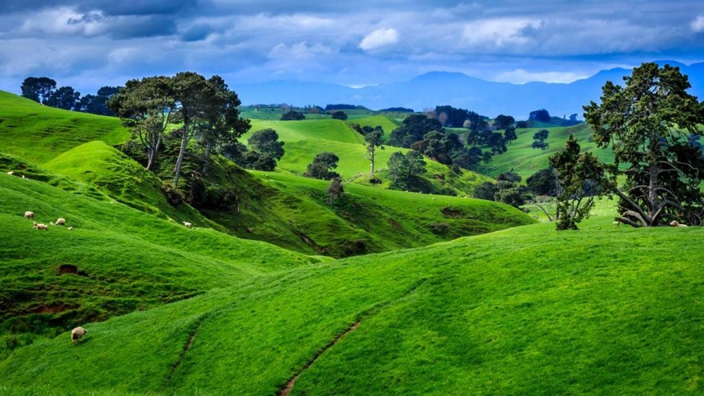 greenery NZ