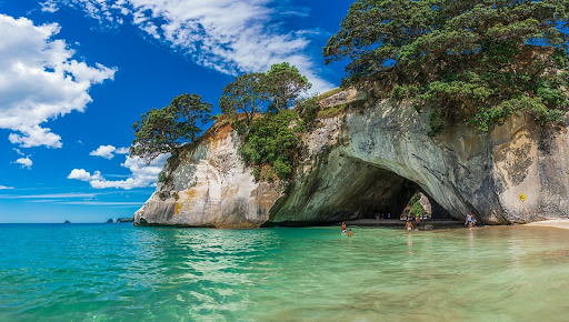 tropical beach in NZ