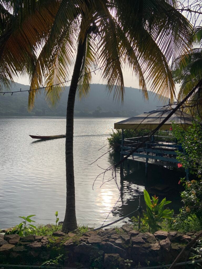 A riverside view of the Volta River