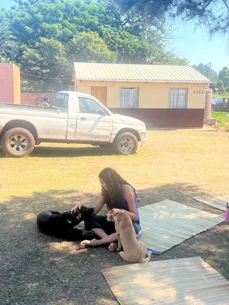 a girl sitting under a shade outside, petting one black dog and one yellow dog on top of a straw mat