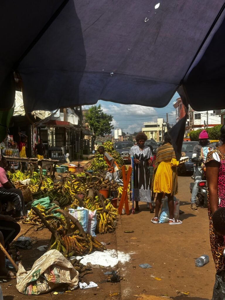 A street market in Yorundé, Cameroon. Stalls of plantains line the left side while people walk by on the right.