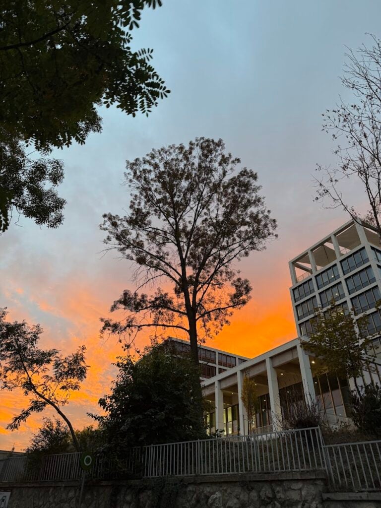 A sunset photo with trees and a building on the right